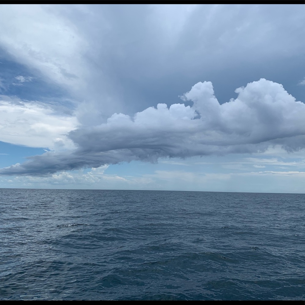 Meet your Posher, Cassandra